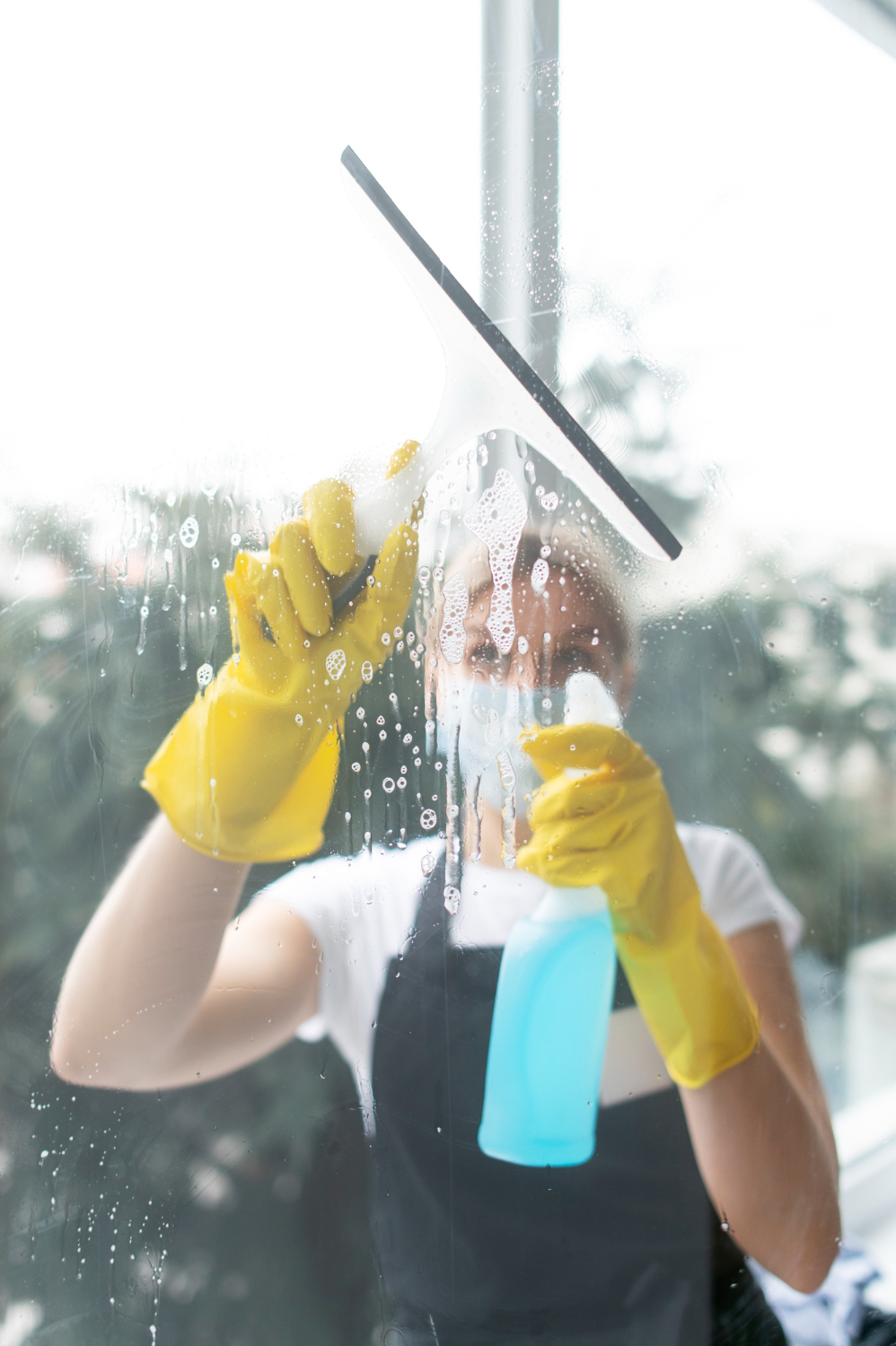 Eine Frau putzt ein Fenster, Blick durch das Fenster